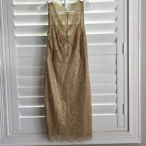 BCBG max azria size 8 gold lace dress